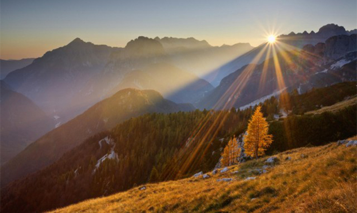 sonce fin