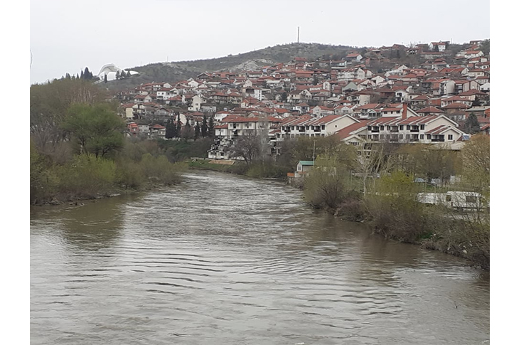 veles fin