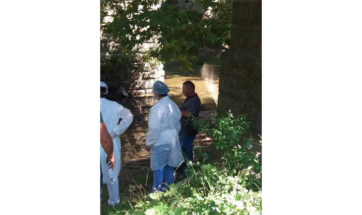 Izvadenlesh SpaseDimovski fin1