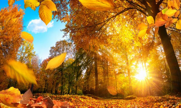 doumerenooblacno fin