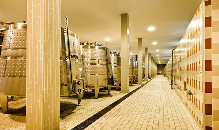 Tikveshfermentori fin