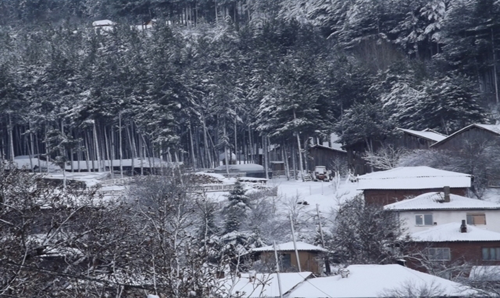 berovo fin