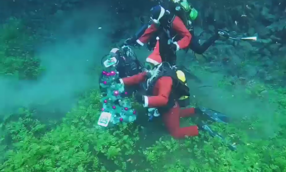 Нуркачите упатија новогодишна честитка од дното на Охридското Езеро (Видео)