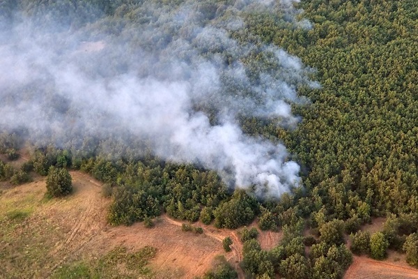 Гори борова шума кај охридските села Вапила и Сирула, изгаснати 26 пожари