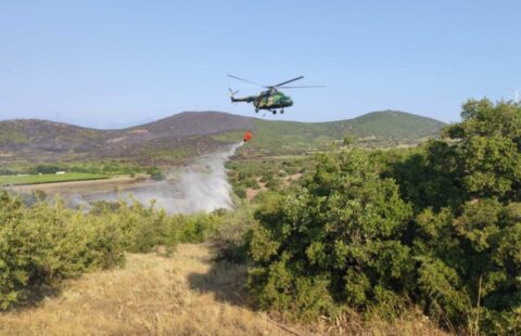 Полициски хеликоптер и „ер трактор“ учествуваат во гаснењето на пожарот кај Дојран и Богданци