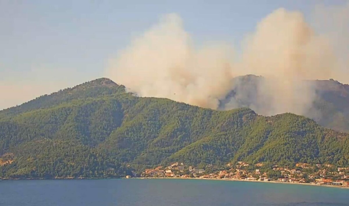 Голем шумски пожар на Тасос (видео)