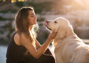 Истражување: Кучињата можат да го препознаат стресот кај луѓето