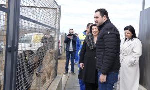 Почна да работи стационарот за бездомни кучиња во Струмица, згрижени веќе 50 тина кои чекаат на вдомување