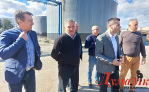 Годинава, македонскиот сончоглед на 20 отсто поголеми површини во државата, цената на маслото за јадење под 90 денари за литар (фото и видео)