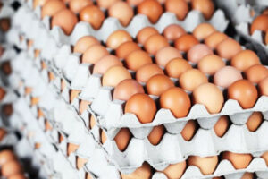 Од денеска замрзнати цените на јајцата од кокошка и оризот
