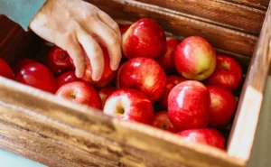 Децата од градинките ќе добиваат еден килограм свежо домашно овошје еднаш неделно