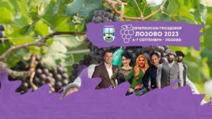 (видео) Општина Лозово, вечерва и утре, домаќин на првиот Овчеполски гроздобер „Лозово 2023“