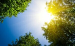 Временска прогноза: Сончево и топло со доумерена облачност