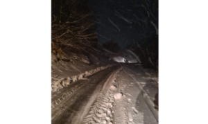 Првиот снег остави без електрична енергија по три села во општините Чашка и Градско