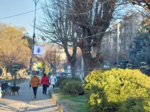 Затворени и велешки во 15-те објекти за продавање небезбедна храна на ученици од АХВ 20241218_142635