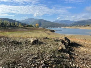 20251119180520_big_730x400_34