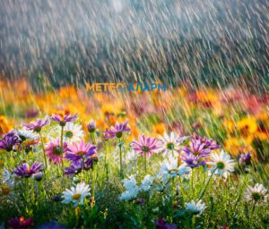 a83cc894-9e2a-47b0-ba28-300c7e5205dc