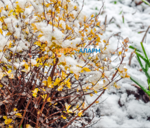 Продор на ладен бран од север, Велигденските празници со утрински мраз meteoalarm.mk-3