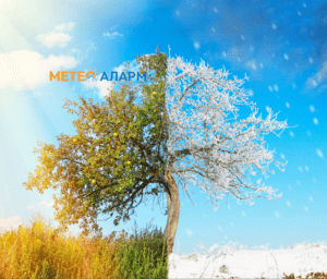 meteoalarm.mk