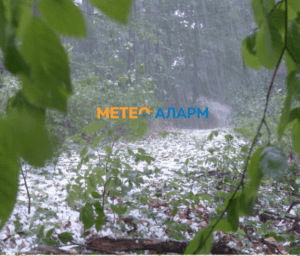 meteoalarm.mk_-42