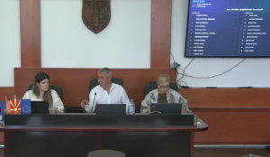 Електонски систем гласање