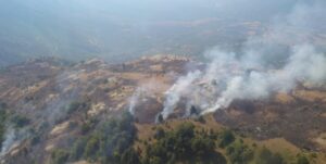 Изгаснат пожарот над село Нежилово, во општина Чашка пожар Нежилово